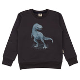 Anthracite-Sweatshirt 140